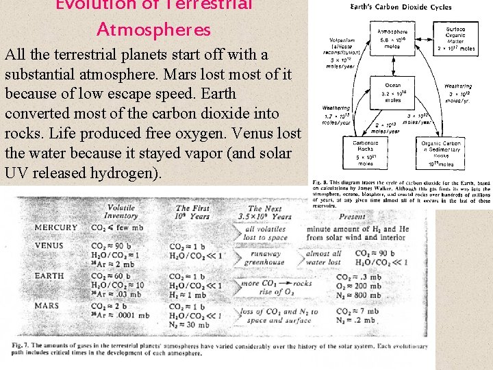 Evolution of Terrestrial Atmospheres All the terrestrial planets start off with a substantial atmosphere.