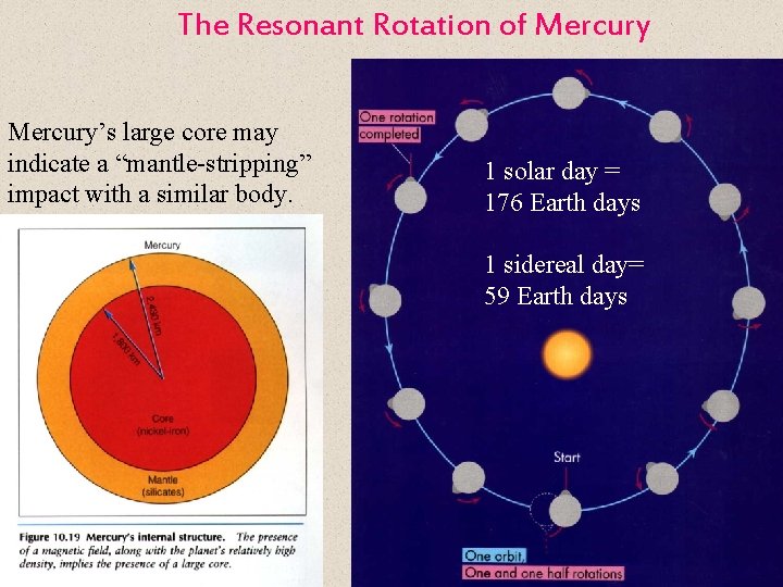 The Resonant Rotation of Mercury’s large core may indicate a “mantle-stripping” impact with a