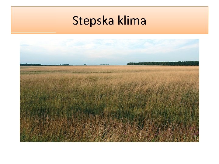 Stepska klima 