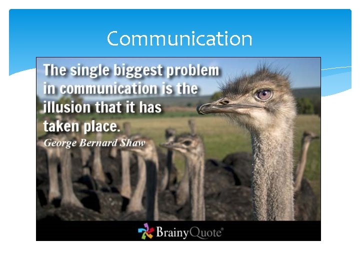 Communication 