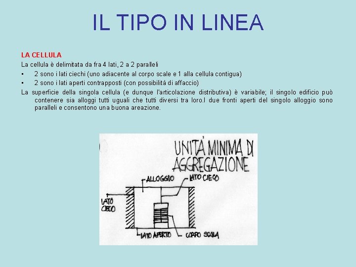 IL TIPO IN LINEA LA CELLULA La cellula è delimitata da fra 4 lati,