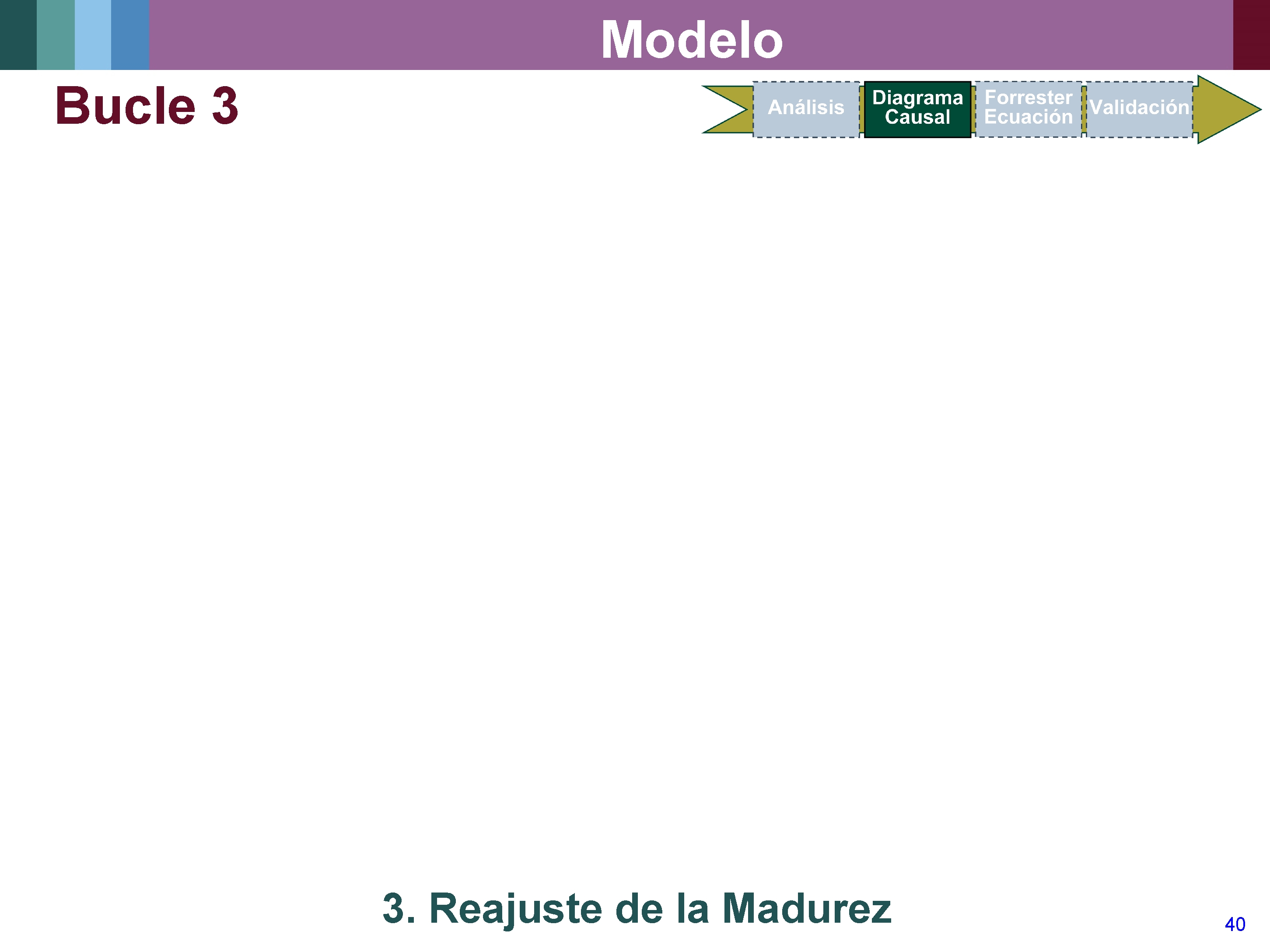 Modelo Bucle 3 3. Reajuste de la Madurez 40 