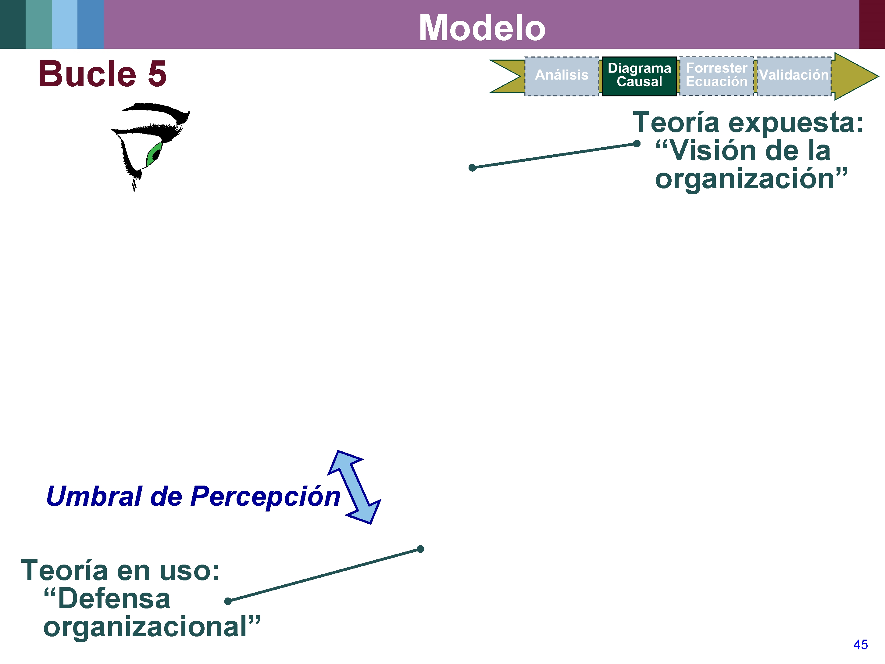 Modelo Bucle 5 Teoría expuesta: “Visión de la organización” Umbral de Percepción Teoría en