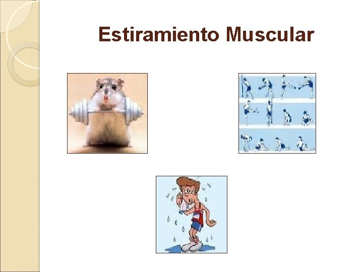 Estiramiento Muscular 