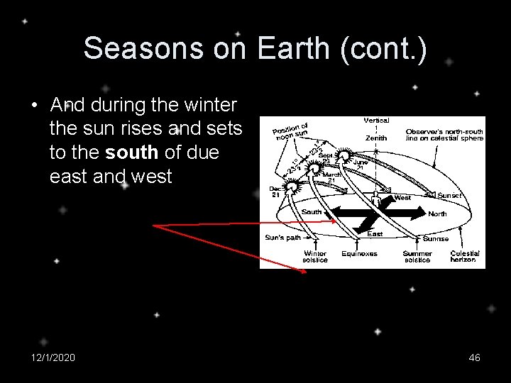 Seasons on Earth (cont. ) • And during the winter the sun rises and