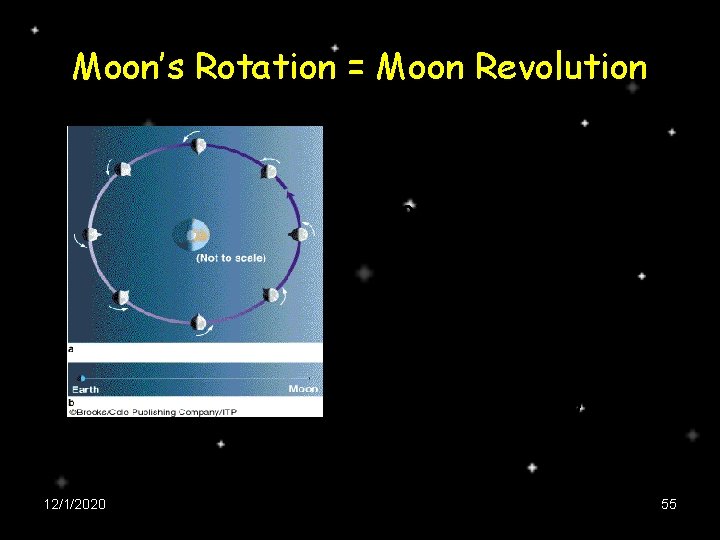 Moon’s Rotation = Moon Revolution Ø rotation period = 27. 3 days Ø revolution