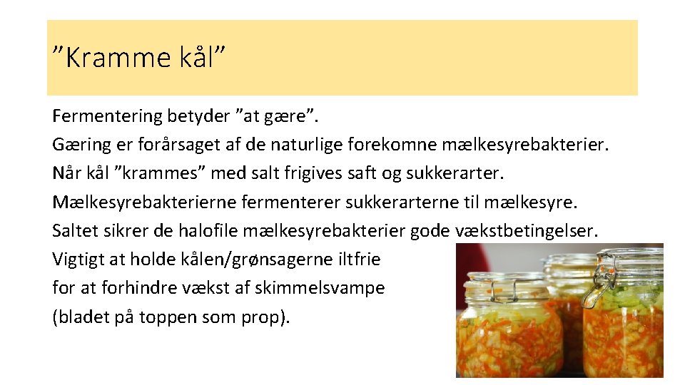 ”Kramme kål” Fermentering betyder ”at gære”. Gæring er forårsaget af de naturlige forekomne mælkesyrebakterier.