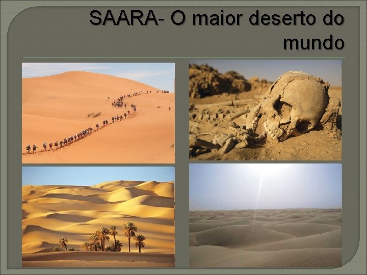 SAARA- O maior deserto do mundo 
