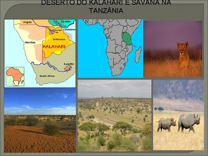 DESERTO DO KALAHARI E SAVANA NA TANZ NIA 