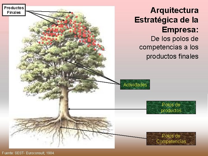 Productos Finales Arquitectura Estratégica de la Empresa: De los polos de competencias a los