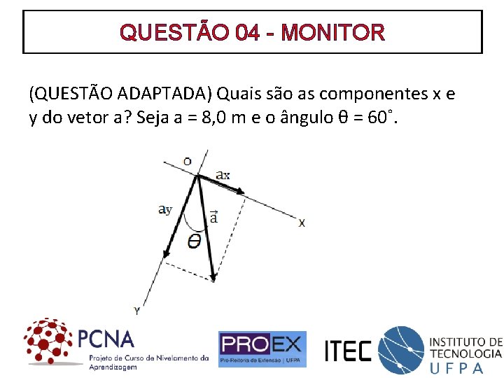 QUESTÃO 04 - MONITOR (QUESTÃO ADAPTADA) Quais são as componentes x e y do