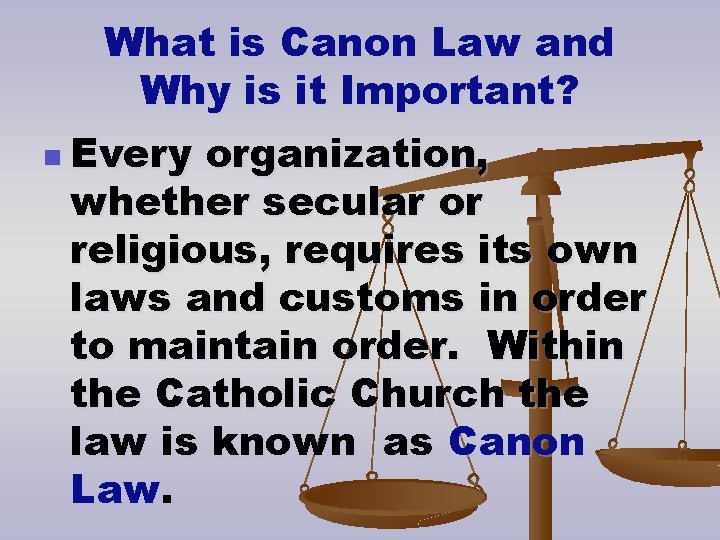 What is Canon Law and Why is it Important? n Every organization, whether secular