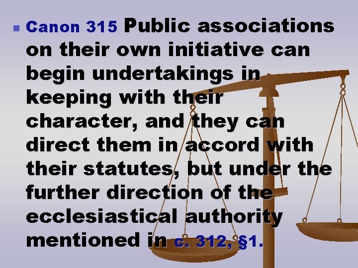 n Canon 315 Public associations on their own initiative can begin undertakings in keeping