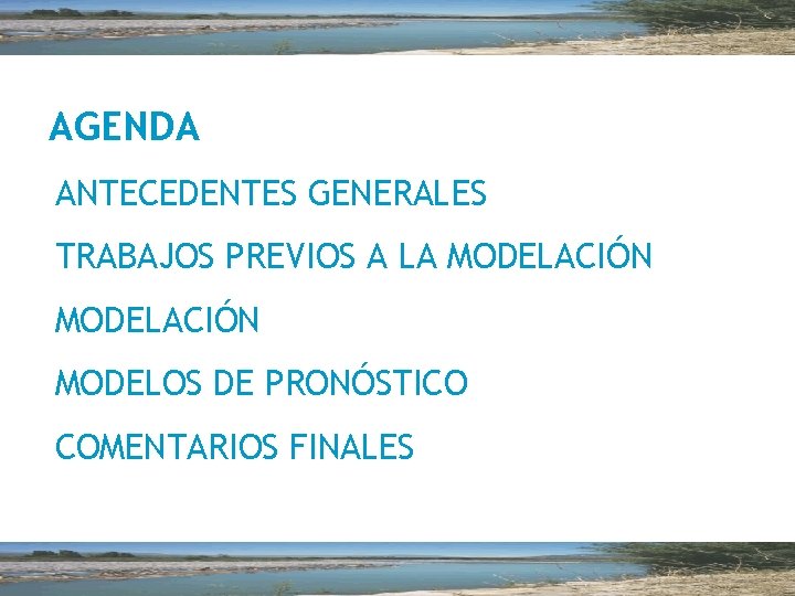 AGENDA ANTECEDENTES GENERALES TRABAJOS PREVIOS A LA MODELACIÓN MODELOS DE PRONÓSTICO COMENTARIOS FINALES 