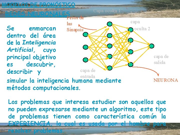 MODELOS DE PRONÓSTICO REDES NEURONALES Se enmarcan dentro del área de la Inteligencia Artificial,