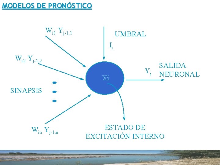 MODELOS DE PRONÓSTICO Wi 1 Yj-1, 1 La Neurona UMBRAL Ii Wi 2 Yj-1,