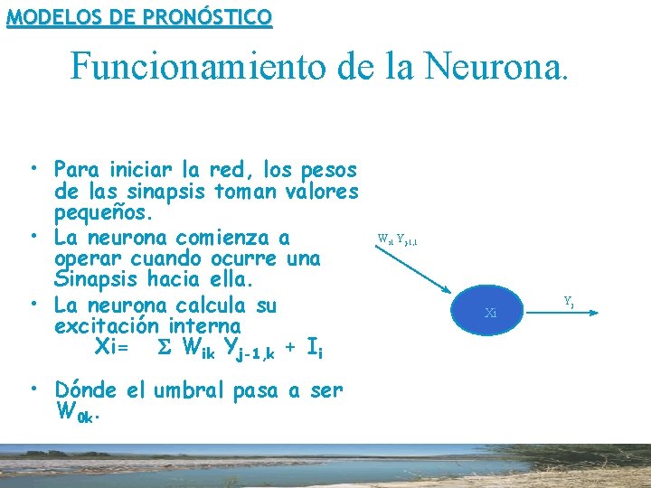 MODELOS DE PRONÓSTICO Funcionamiento de la Neurona. • Para iniciar la red, los pesos