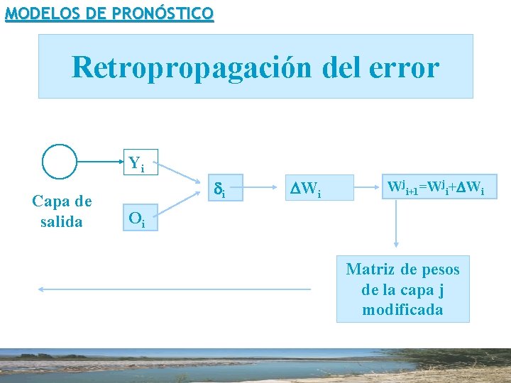 MODELOS DE PRONÓSTICO Retropropagación del error Yi Capa de salida di DWi Wji+1=Wji+DWi Oi