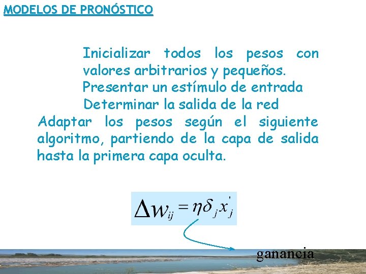 MODELOS DE PRONÓSTICO Inicializar todos los pesos con valores arbitrarios y pequeños. Presentar un