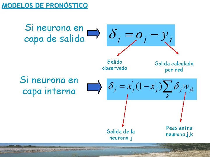 MODELOS DE PRONÓSTICO Si neurona en capa de salida Salida observada Si neurona en