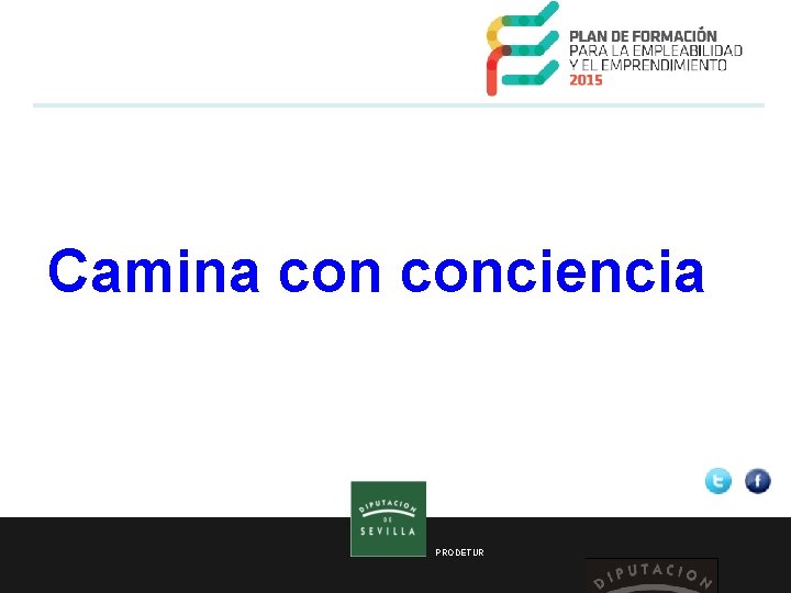 Camina conciencia Caminata consciente. “Los caminantes no tienen obligaciones, solo el sencillo placer de