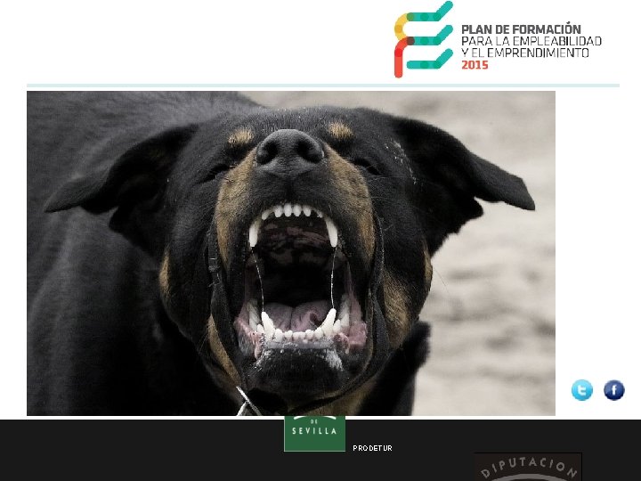 PRODETUR 