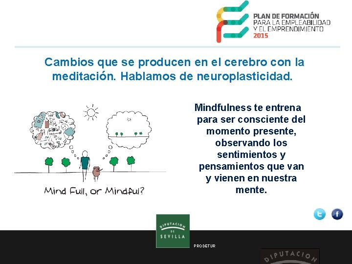  Cambios que se producen en el cerebro con la meditación. Hablamos de neuroplasticidad.