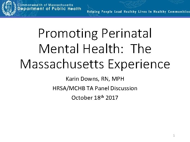 Promoting Perinatal Mental Health: The Massachusetts Experience Karin Downs, RN, MPH HRSA/MCHB TA Panel