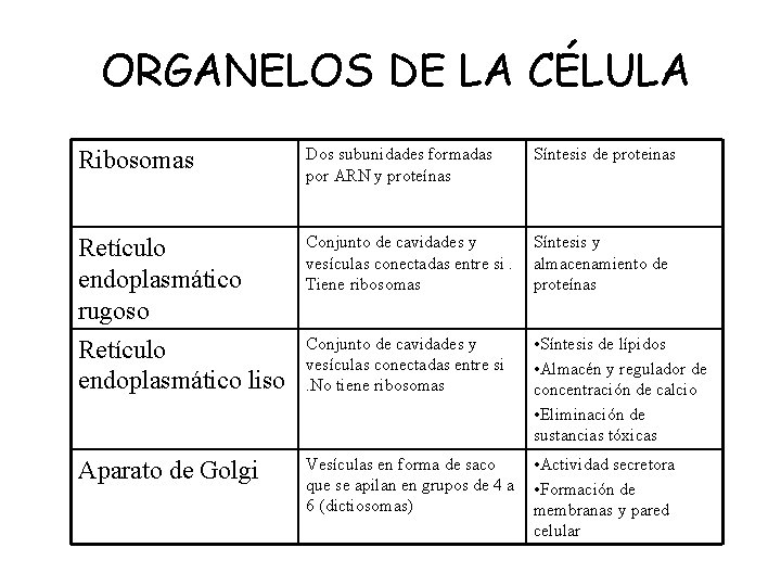 ORGANELOS DE LA CÉLULA Ribosomas Dos subunidades formadas por ARN y proteínas Síntesis de