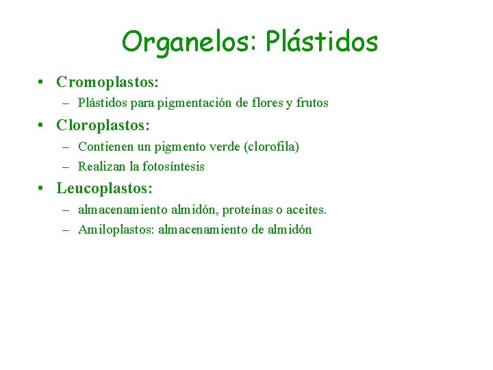 Organelos: Plástidos • Cromoplastos: – Plástidos para pigmentación de flores y frutos • Cloroplastos: