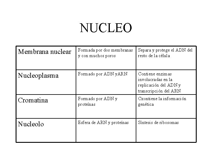 NUCLEO Membrana nuclear Formada por dos membranas y con muchos poros Separa y protege