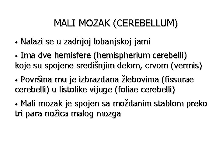 MALI MOZAK (CEREBELLUM) • Nalazi se u zadnjoj lobanjskoj jami Ima dve hemisfere (hemispherium
