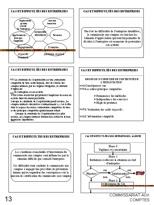CAS ET DIFFICULTÉS DES ENTREPRISES Organisation structure gestion financière activité de l’entreprise DOMAINES Application