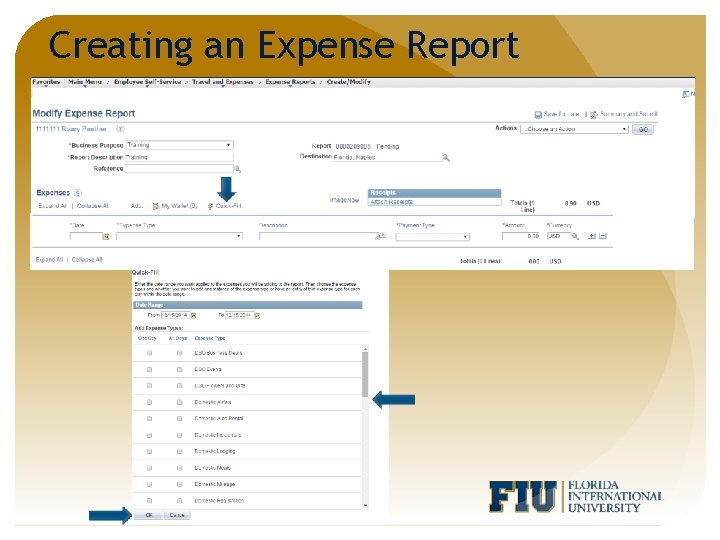 Creating an Expense Report 