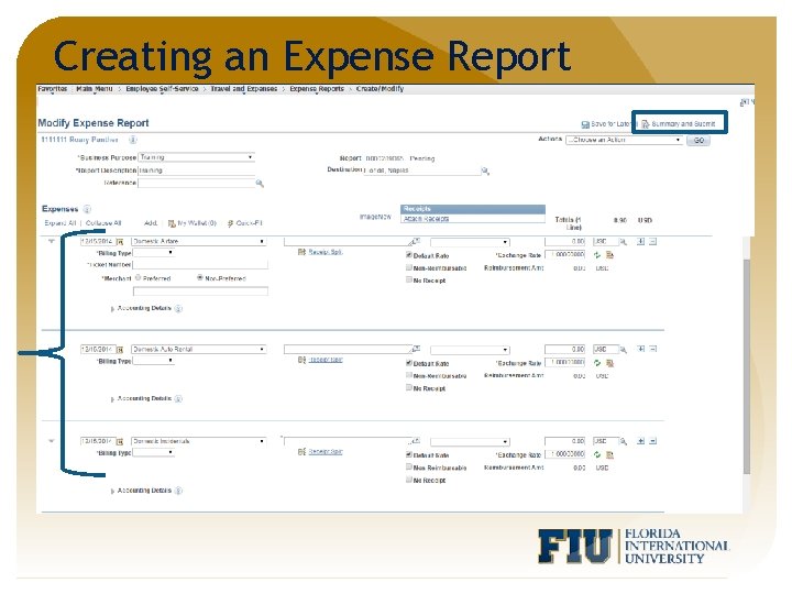 Creating an Expense Report 