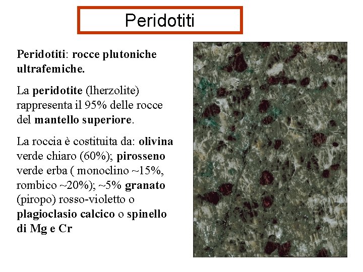 Peridotiti: rocce plutoniche ultrafemiche. La peridotite (lherzolite) rappresenta il 95% delle rocce del mantello