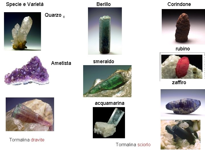 Specie e Varietà Berillo Corindone Quarzo α rubino Ametista smeraldo zaffiro acquamarina Tormalina dravite