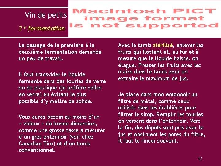 Vin de petits fruits 2 è fermentation Le passage de la première à la