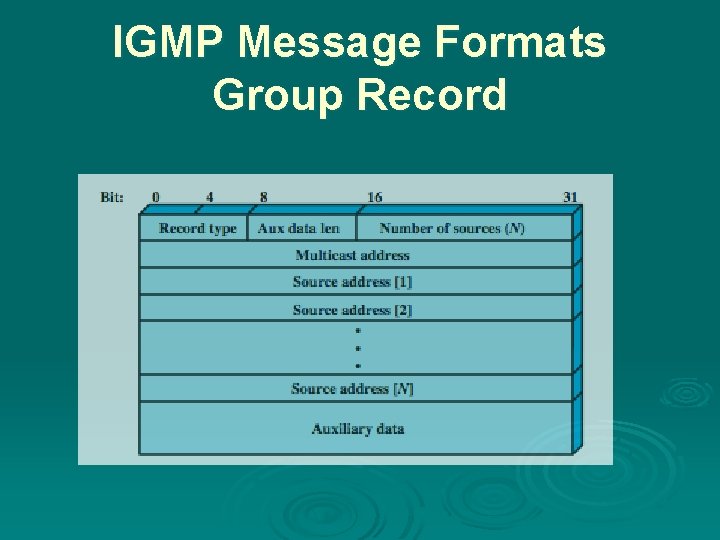 IGMP Message Formats Group Record 