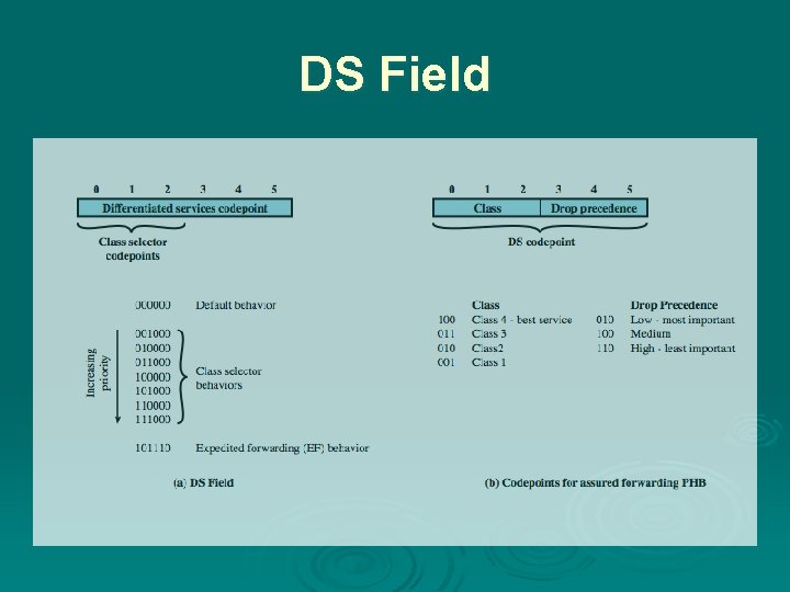 DS Field 