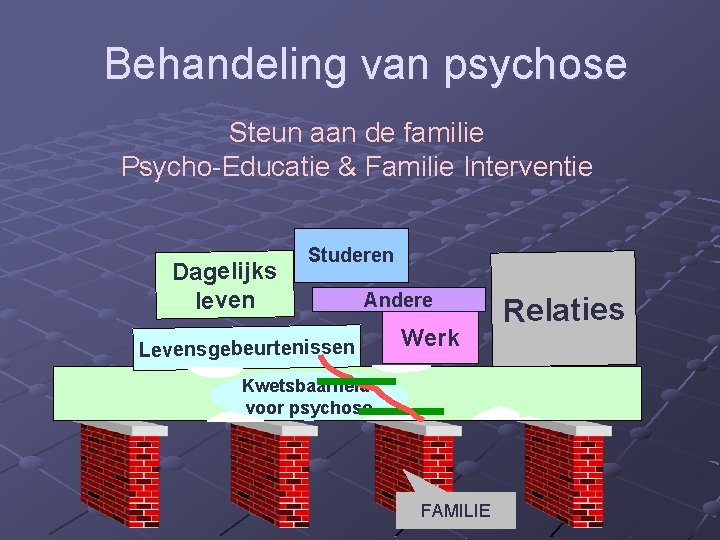 Behandeling van psychose Steun aan de familie Psycho-Educatie & Familie Interventie Dagelijks leven Studeren