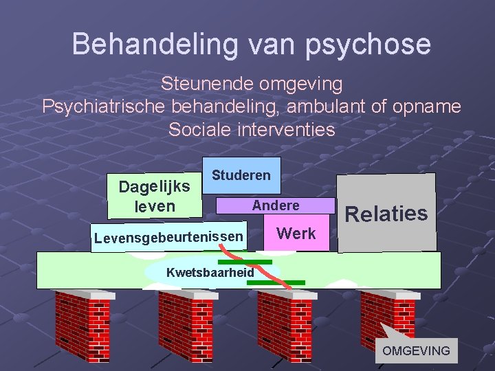 Behandeling van psychose Steunende omgeving Psychiatrische behandeling, ambulant of opname Sociale interventies Dagelijks leven Behandeling van psychose Steunende omgeving Psychiatrische behandeling, ambulant of opname Sociale interventies Dagelijks leven