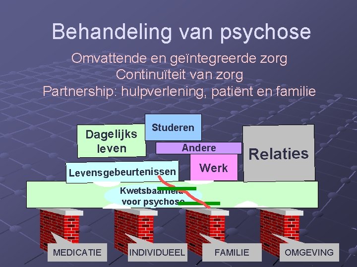 Behandeling van psychose Omvattende en geïntegreerde zorg Continuïteit van zorg Partnership: hulpverlening, patiënt en