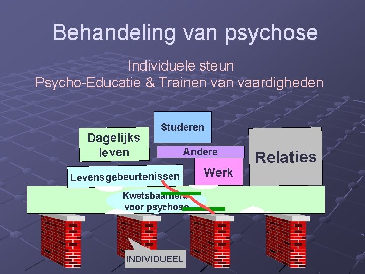 Behandeling van psychose Individuele steun Psycho-Educatie & Trainen vaardigheden Dagelijks leven Studeren Andere Levensgebeurtenissen Behandeling van psychose Individuele steun Psycho-Educatie & Trainen vaardigheden Dagelijks leven Studeren Andere Levensgebeurtenissen