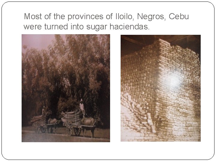 Most of the provinces of Iloilo, Negros, Cebu were turned into sugar haciendas. Most of the provinces of Iloilo, Negros, Cebu were turned into sugar haciendas.