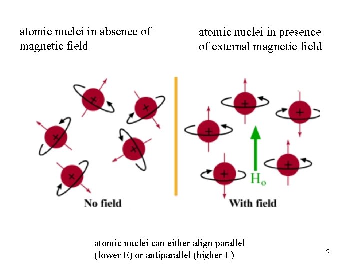 atomic nuclei in absence of magnetic field atomic nuclei in presence of external magnetic