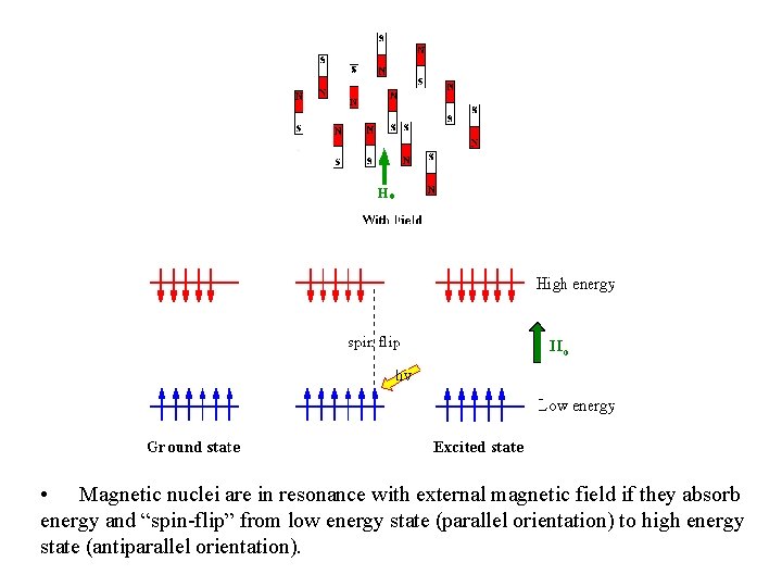  • Magnetic nuclei are in resonance with external magnetic field if they absorb