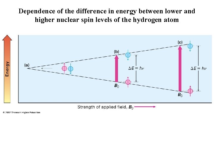 Dependence of the difference in energy between lower and higher nuclear spin levels of