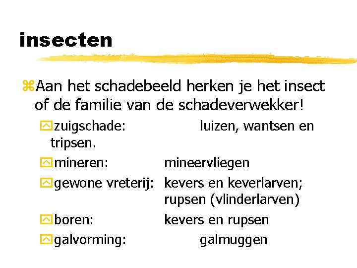 insecten z. Aan het schadebeeld herken je het insect of de familie van de