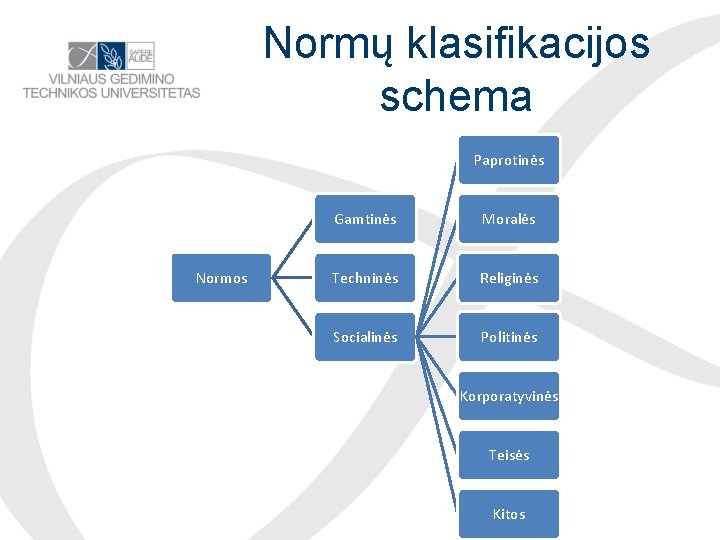 Normų klasifikacijos schema Paprotinės Normos Gamtinės Moralės Techninės Religinės Socialinės Politinės Korporatyvinės Teisės Kitos
